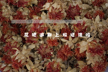 花吧逾期上报征信吗 花吧逾期上报征信吗