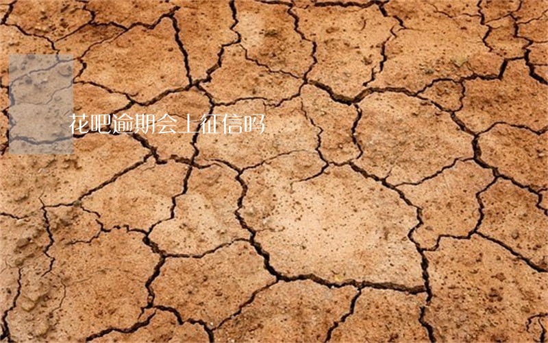 花吧逾期会上征信吗 花吧逾期会上征信吗