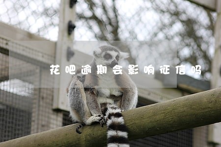 花吧逾期会影响征信吗