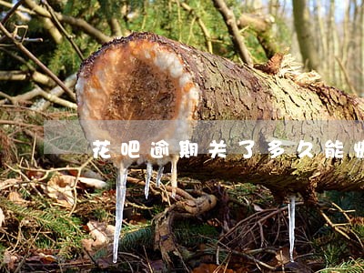花吧逾期关了多久能恢复使用 花吧逾期关了多久能恢复使用