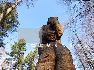花吧逾期多久可恢复 花吧逾期多久可恢复