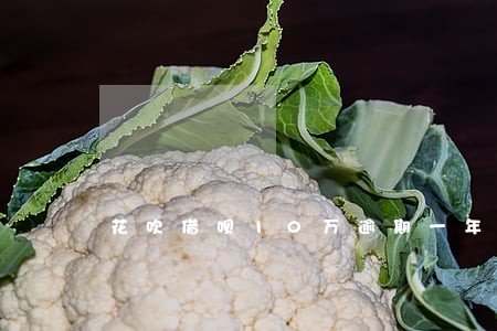 花吹借呗10万逾期一年 花吹借呗10万逾期一年