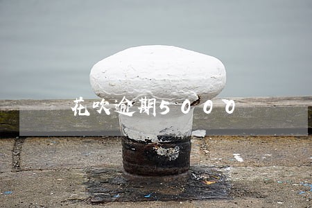 花吹逾期5000 花吹逾期5000