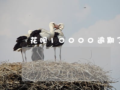 花呗10000逾期了一年多 花呗10000逾期了一年多