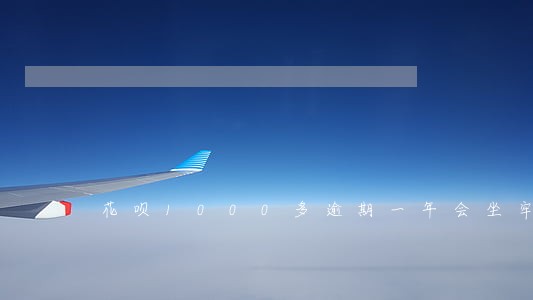 花呗1000多逾期一年会坐牢吗 花呗1000多逾期一年会坐牢吗
