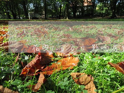 花呗1000影响房贷吗没逾期 花呗1000影响房贷吗没逾期