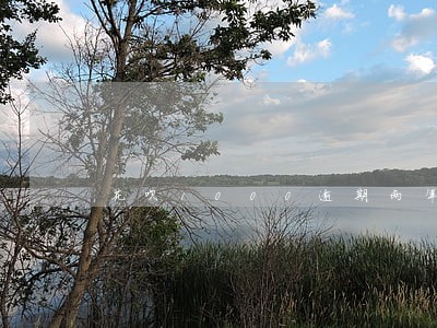 花呗1000逾期两年 花呗1000逾期两年
