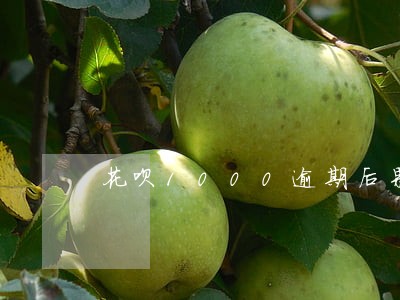 花呗1000逾期后果