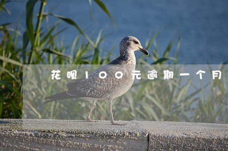 花呗100元逾期一个月