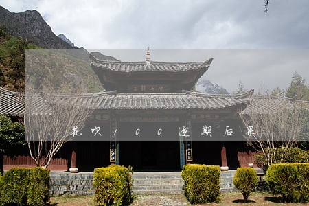 花呗100逾期后果 花呗100逾期后果