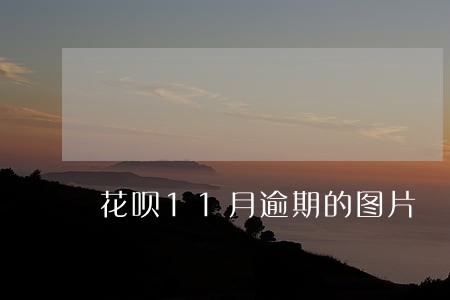 花呗11月逾期的图片 花呗11月逾期的图片