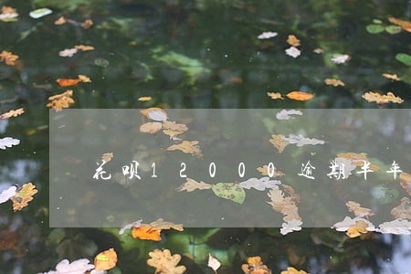 花呗12000逾期半年