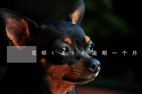 花呗1200逾期一个月 花呗1200逾期一个月