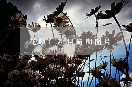 花呗12月逾期图片 花呗12月逾期图片