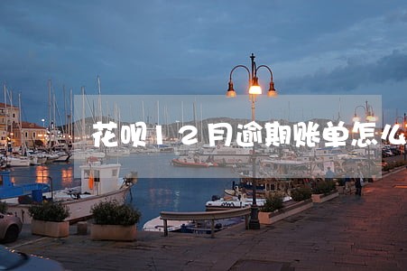 花呗12月逾期账单怎么还 花呗12月逾期账单怎么还