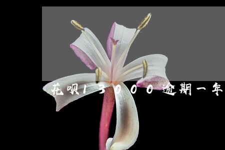 花呗13000逾期一年
