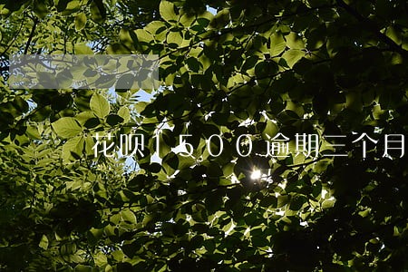 花呗1500逾期三个月停封 花呗1500逾期三个月停封