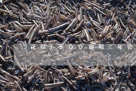 花呗1500逾期三年会恢复吗 花呗1500逾期三年会恢复吗