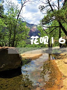 花呗1600块钱逾期半年多 花呗1600块钱逾期半年多