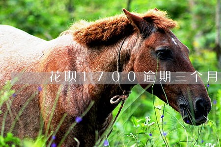花呗1700逾期三个月了 花呗1700逾期三个月了