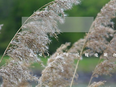 花呗170块钱逾期会上征信吗 花呗170块钱逾期会上征信吗