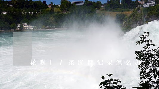 花呗17条逾期记录怎么办