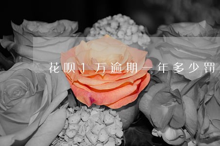 花呗1万逾期一年多少罚息和利息