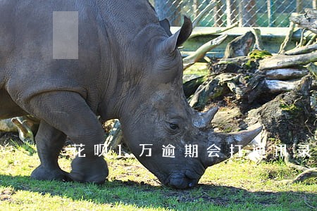 花呗1万逾期会打通讯录吗 花呗1万逾期会打通讯录吗