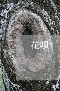 花呗1万逾期利息怎么算 花呗1万逾期利息怎么算