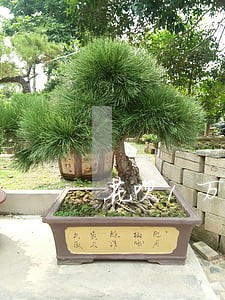 花呗1万逾期半年利息多少钱 花呗1万逾期半年利息多少钱
