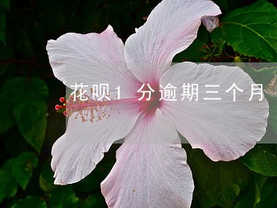 花呗1分逾期三个月