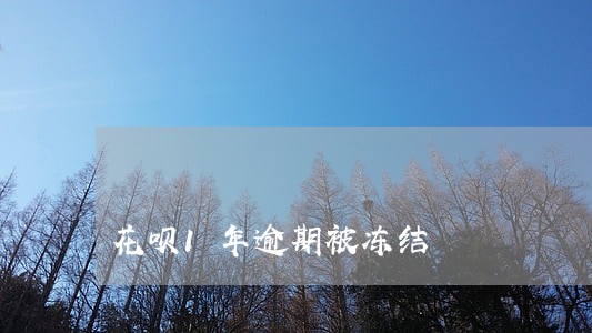花呗1年逾期被冻结 花呗1年逾期被冻结