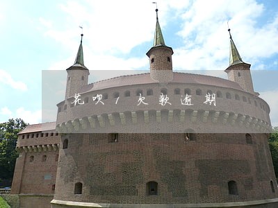 花呗1欠款逾期 花呗1欠款逾期