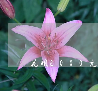 花呗2000元逾期三个月