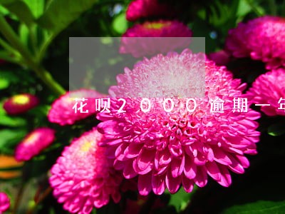 花呗2000逾期一年会上 花呗2000逾期一年会上