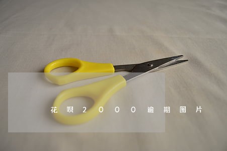 花呗2000逾期图片 花呗2000逾期图片