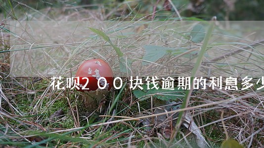 花呗200块钱逾期的利息多少 花呗200块钱逾期的利息多少