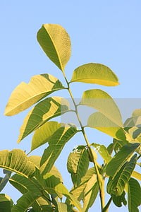 花呗200多逾期一个月 花呗200多逾期一个月