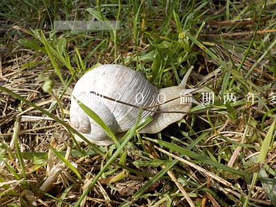 花呗200逾期两年多还有希望吗
