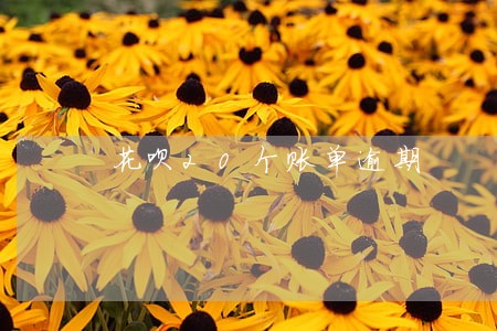 花呗20个账单逾期 花呗20个账单逾期