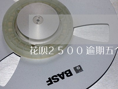 花呗2500逾期五个月 花呗2500逾期五个月