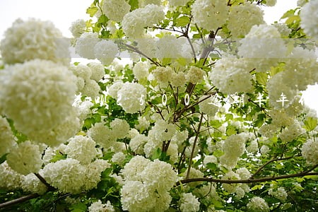 花呗2500逾期半年什么后果 花呗2500逾期半年什么后果