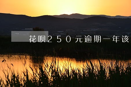 花呗250元逾期一年该赔多少啊 花呗250元逾期一年该赔多少啊