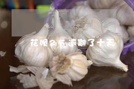 花呗25逾期了十天 花呗25逾期了十天