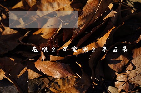 花呗2万逾期2年后果 花呗2万逾期2年后果