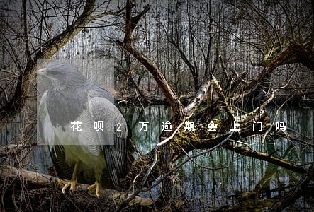 花呗2万逾期会上门吗 花呗2万逾期会上门吗