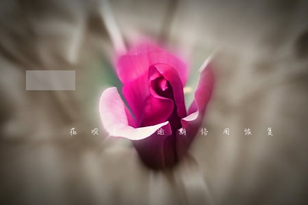 花呗2万逾期信用恢复 花呗2万逾期信用恢复