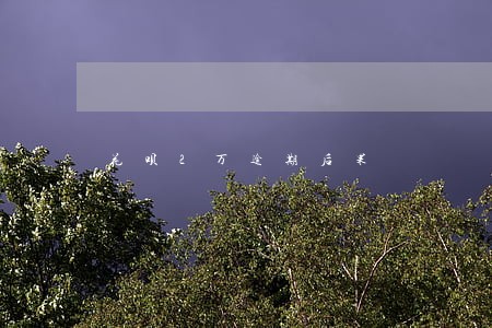 花呗2万逾期后果 花呗2万逾期后果