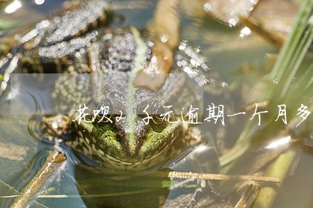 花呗2千元逾期一个月多少利息 花呗2千元逾期一个月多少利息