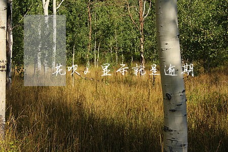 花呗2显示就是逾期